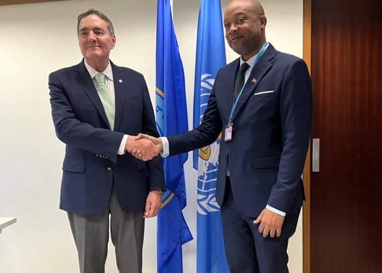 Rencontre entre le ministre de la Santé et le directeur de l’OPS