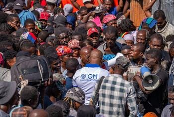 Haïti : près de 1,3 million de déplacés, un record alarmant selon l’OIM