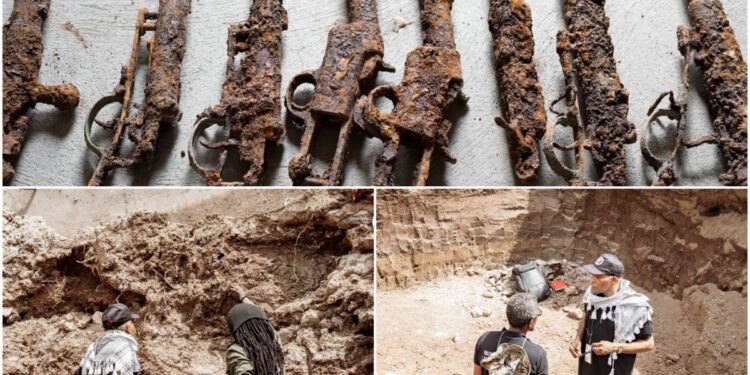 Découverte d'un lot d'anciennes armes à la Grande-Rivière-du-Nord 3 Découverte d’un lot d’anciennes armes à la Grande-Rivière-du-Nord